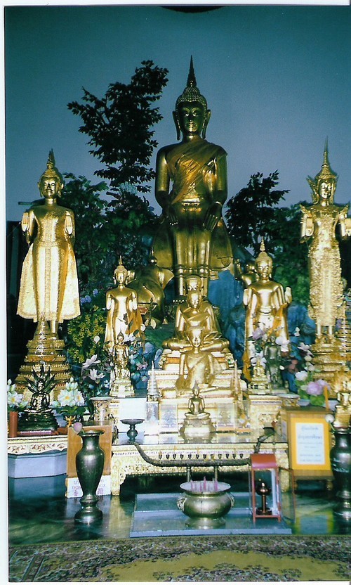 Quanquan593's profile picture. 