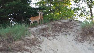 csbrock46's profile picture. Equipment technician at The Golf Club at Harbor Shores.