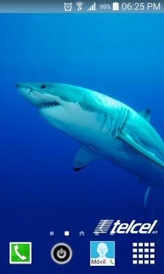 joserene22101's profile picture. 