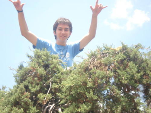 MFlammamDiruere's profile picture. 