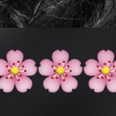 her_lastwords's profile picture. 