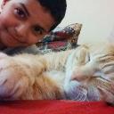 abdel mahdy (@13Abdelmahdy) Twitter