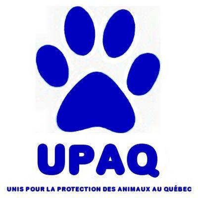 Unis pour la Protection des Animaux au Québec #UPAQ #statutdesanimaux #causeanimale #stopcruaute #protectionanimale #nonalacruaute