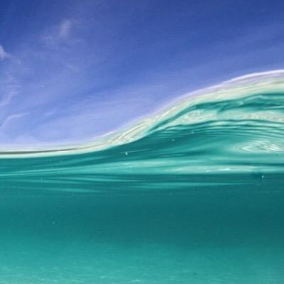 chuclbuckets's profile picture. yeah, i said that.