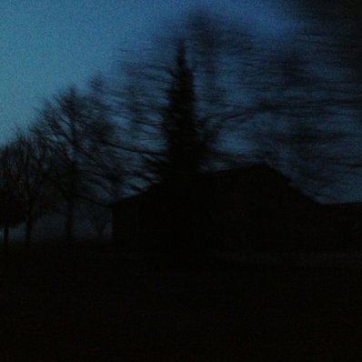 displacementmap's profile picture. 