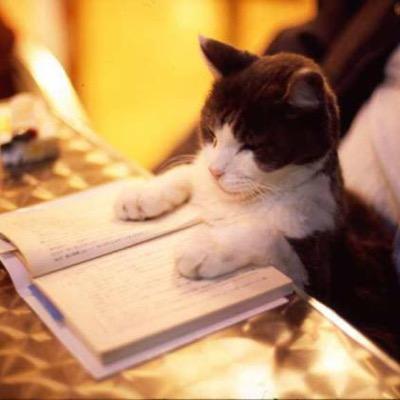 kage_kanono's profile picture. 絵師さんの作品を見て癒される毎日