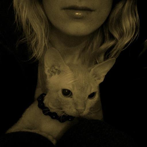 lessya_2016's profile picture. 