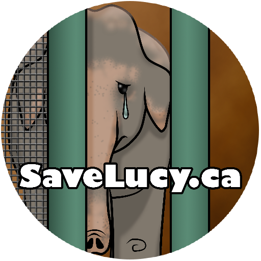 We're committed to securing Lucy's release from the Valley Zoo in Edmonton, Canada to her retirement at a US sanctuary. On FB: http://t.co/fuwnLtjxFe