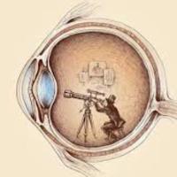 Sıradışı Bilgiler (@bilgilers) 's Twitter Profile