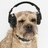 headphonezone's profile image