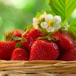 AmazingHealthy's profile picture. 