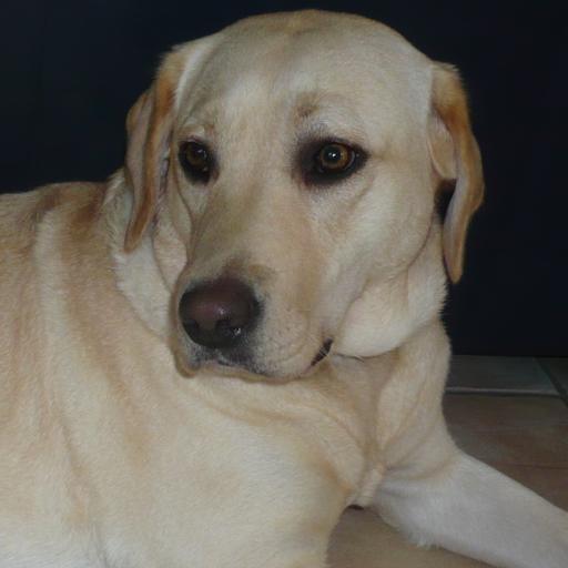 LukasMarek12's profile picture. 