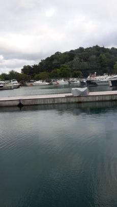 qoksuqunes's profile picture. 