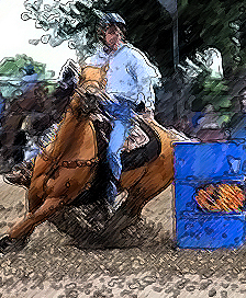 Barrel Racing Ontario is dedicated to uniting all barrel racing enthusiasts in the province.