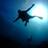ScubaJonP's profile image