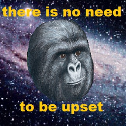 KappaSquad_'s profile picture. 