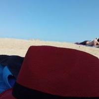 Raul (@rault24) 's Twitter Profile