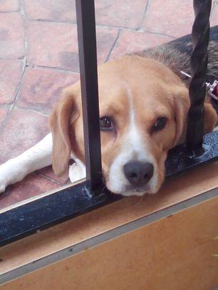 menicil's profile picture. 