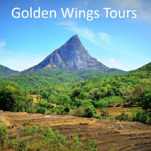 would you like travel to Sri Lanka you can see most beautiful places of our country if you like it join with me +940773021739