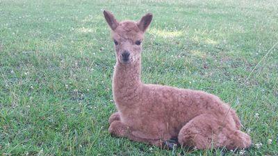 KathiHanson's profile picture. 