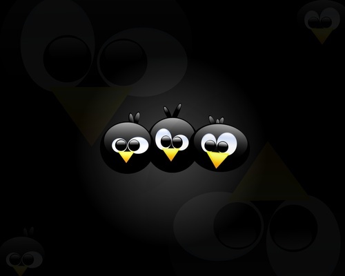 pmaltai's profile picture. 