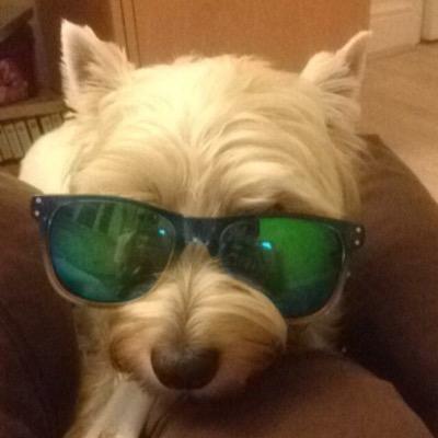 burns118's profile picture. 