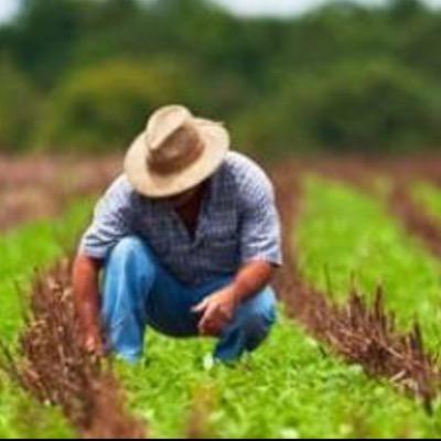 agrostyle_ar's profile picture. 