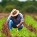 AGROSTYLE ARGENTINA (@agrostyle_ar) Twitter profile photo AGROSTYLE ARGENTINA (@agrostyle_ar) Twitter profile photo