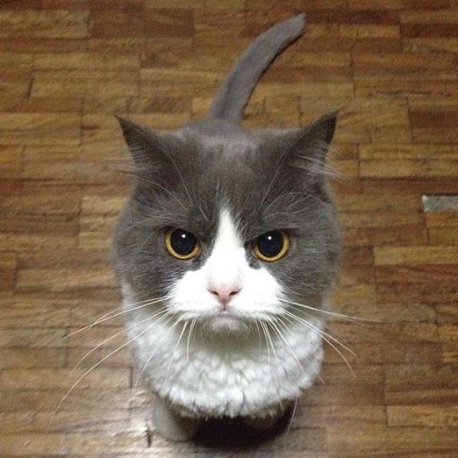 funtria's profile picture. Официальная страница