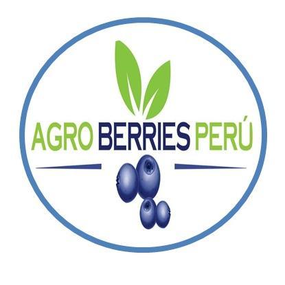 Agro Berries Peru SAC is a company dedicated to export fresh blueberries in clamshell packaging of 125 grams, with guaranteed quality.
