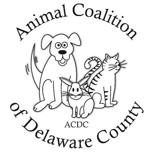 An all foster, all volunteer animal rescue. saving, fostering, and rehoming local animals in the Delaware Valley.