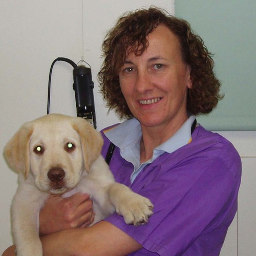 Audrey_Harvey's profile picture. Veterinarian, , homeschooler, runner, dog trainer, bagpipe player..