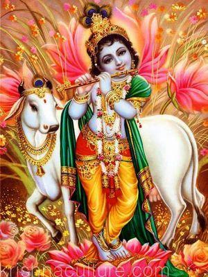 99ba6a6cf6224fc's profile picture. 