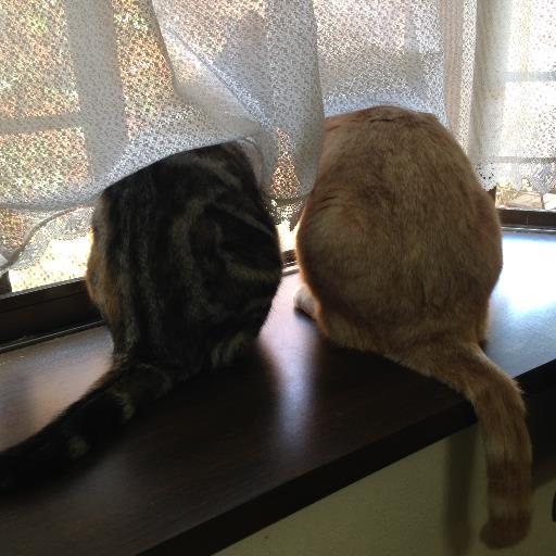 overage22's profile picture. 