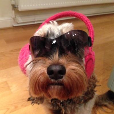 ChatwinEdward's profile picture. Baker and Biker.