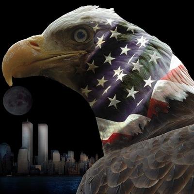 FollowaBrotha's profile picture. I speak my mind, because I have common sense! Dudes shouldn't be playing women's sports, and liberals are destroying this country. Period!