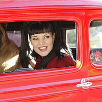 Abby Sciuto (@a_sciuto) 's Twitter Profile