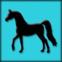 solidius642's profile picture. 