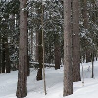 Millstone Trails (@millstonetrails) 's Twitter Profile