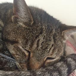 miw1964's profile picture. 