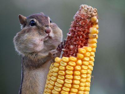 diego7losada2's profile picture. 