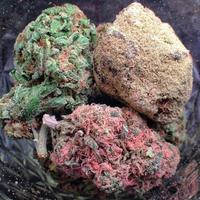 WEED PORN (@weeedp0rn) 's Twitter Profile Photo