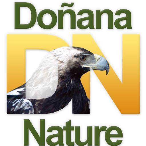 Doñana N. pone al alcance d tu mano el conocer uno de los ambiente mas singulares y ricos de todo Europa,el P.N d Doñana.Visitas en Vehiculos x la Zona Norte.