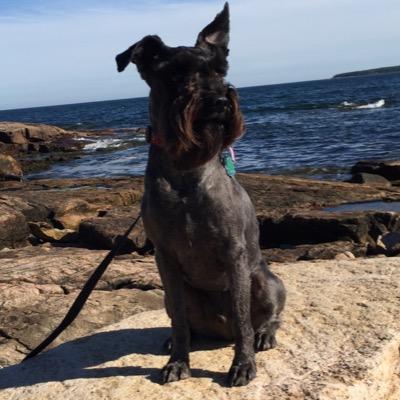 mutantNH's profile picture. Standing for a better tomorrow & learning from our past. Logic based ideas & solutions we can bring a more peaceful world #BuildBackBetter