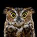 Fabrice Terrac (@fabriceterrac) Twitter profile photo Fabrice Terrac (@fabriceterrac) Twitter profile photo