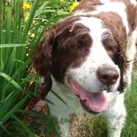 Lori (@willlor) 's Twitter Profile