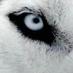 ramtin (@ea6275c9ecc84ca) Twitter profile photo ramtin (@ea6275c9ecc84ca) Twitter profile photo