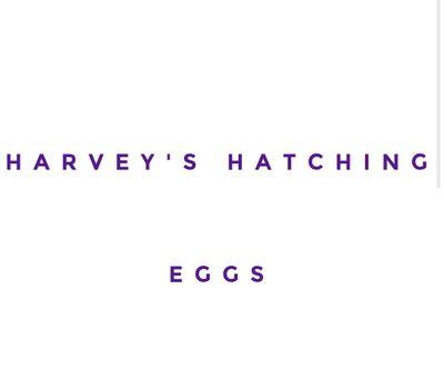 Small business selling birds and fresh Hatching eggs!  website up and running soon:)