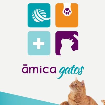 Primer consultorio veterinario en Merida dedicado al Diagnostico y tratamiento de enfermedades que afectan la salud de los Gatos