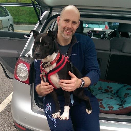 Dog Dad to Molly & Jake. Godfather to 2 little monkeys. Founded an international consultancy. Star Wars & Star Trek nerd. Always tries to be Batman.